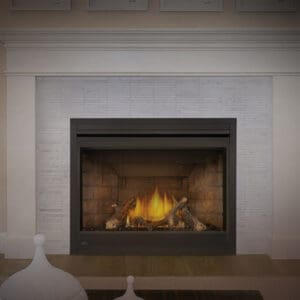 Napoleon Ascent X Series